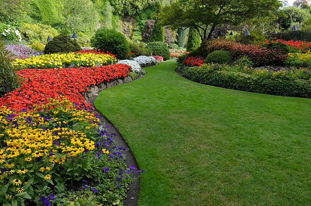 Expert Landscape Gardening Services in Nuneaton